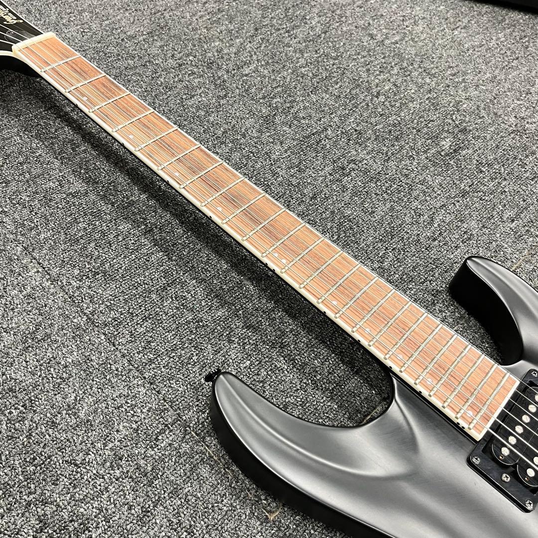 【11581】Grass Roots by ESP HORIZON セットネック