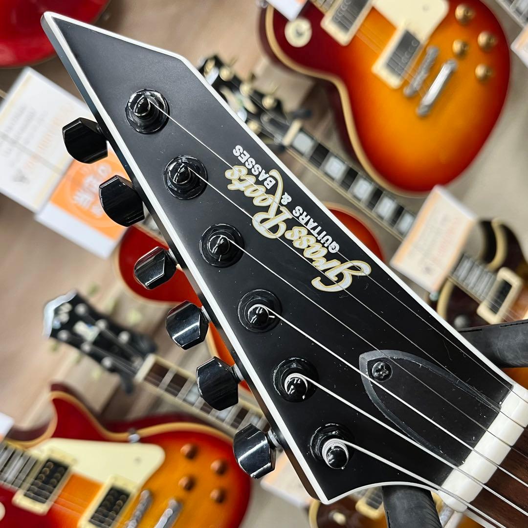 【11581】Grass Roots by ESP HORIZON セットネック