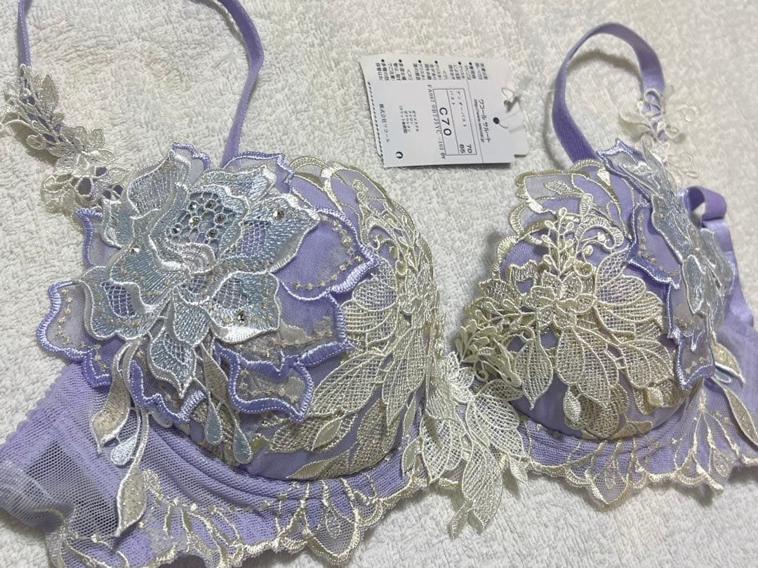 Wacoal ワコールサルート店舗限定⭐️34g⭐️PU ⭐️ C70