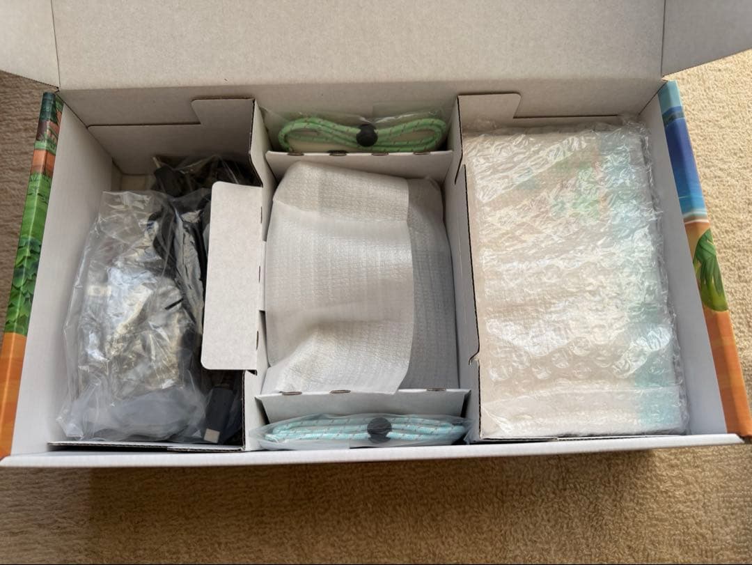 Nintendo Switch 本体 あつまれどうぶつの森セット 限定