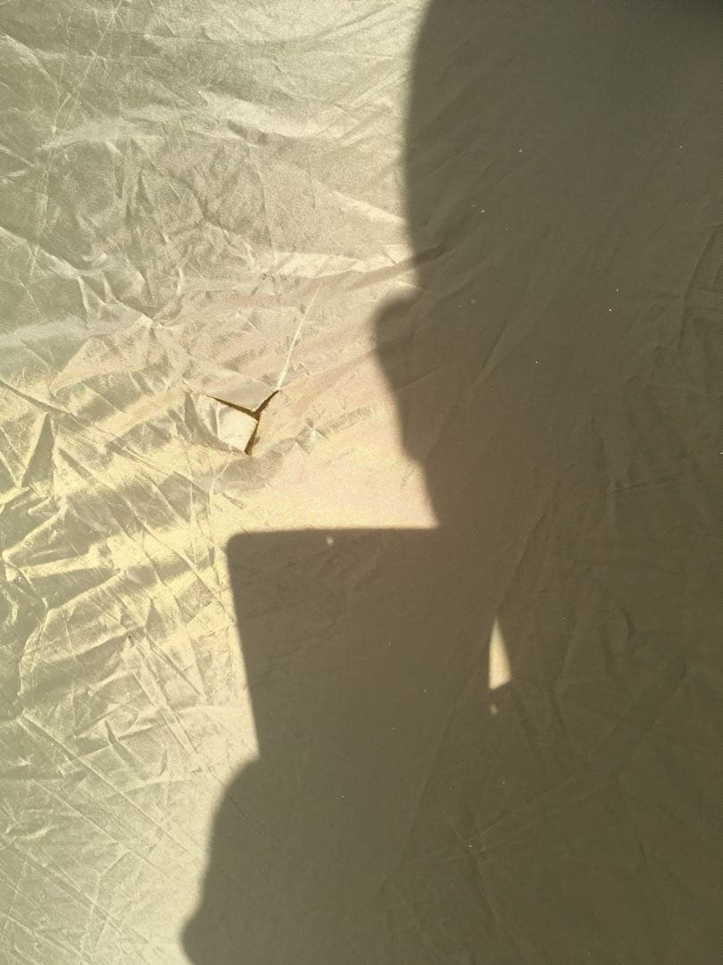 ogawa シュナーベル５　廃盤