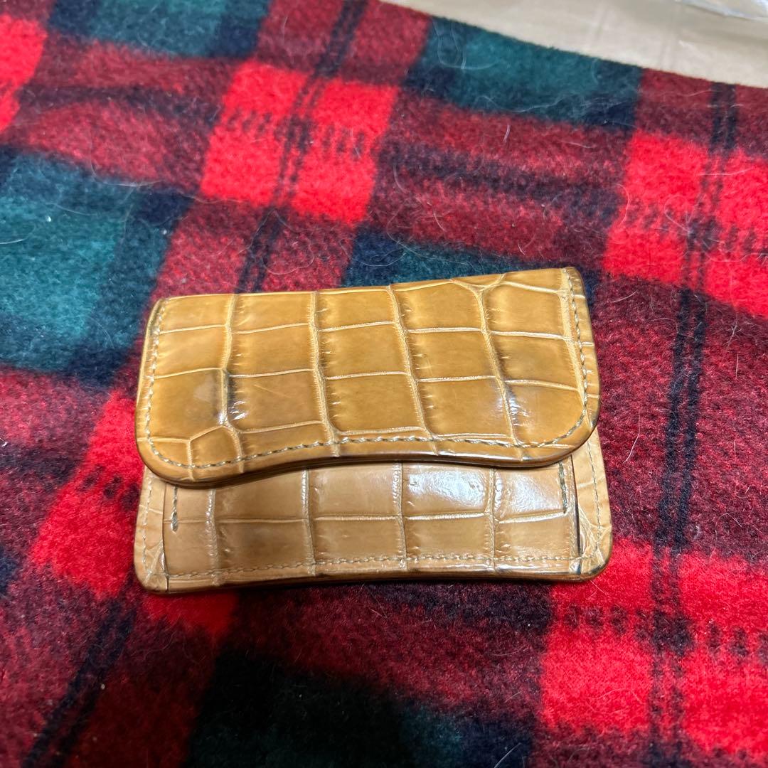 WILDSWANS SP-TONGUE ヌメクロコ ナチュラル タング