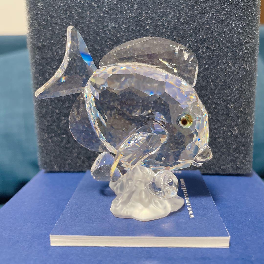 スワロフスキー　激レア　SCS会員限定　ナンヨウハギ　箱あり　超美品