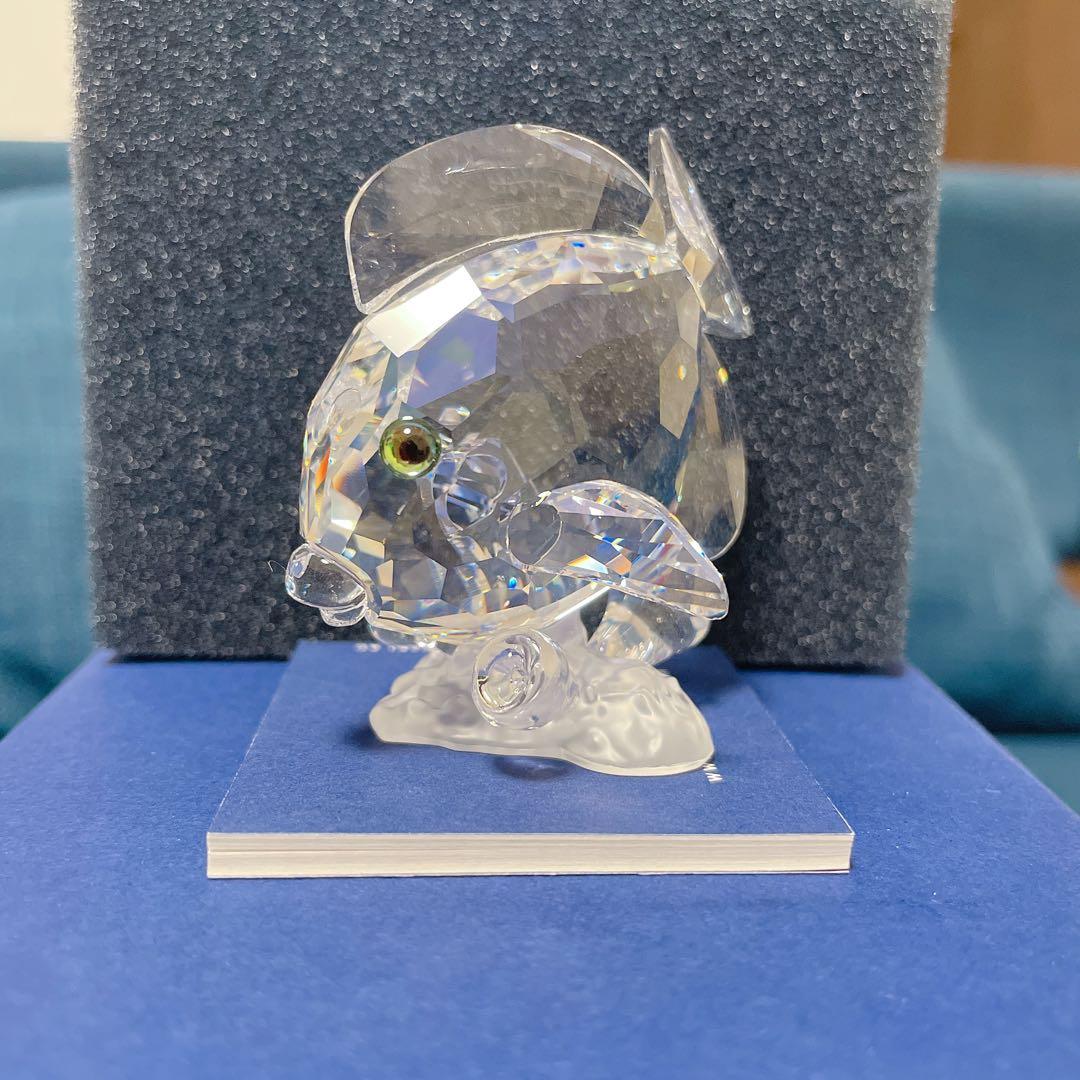 スワロフスキー　激レア　SCS会員限定　ナンヨウハギ　箱あり　超美品