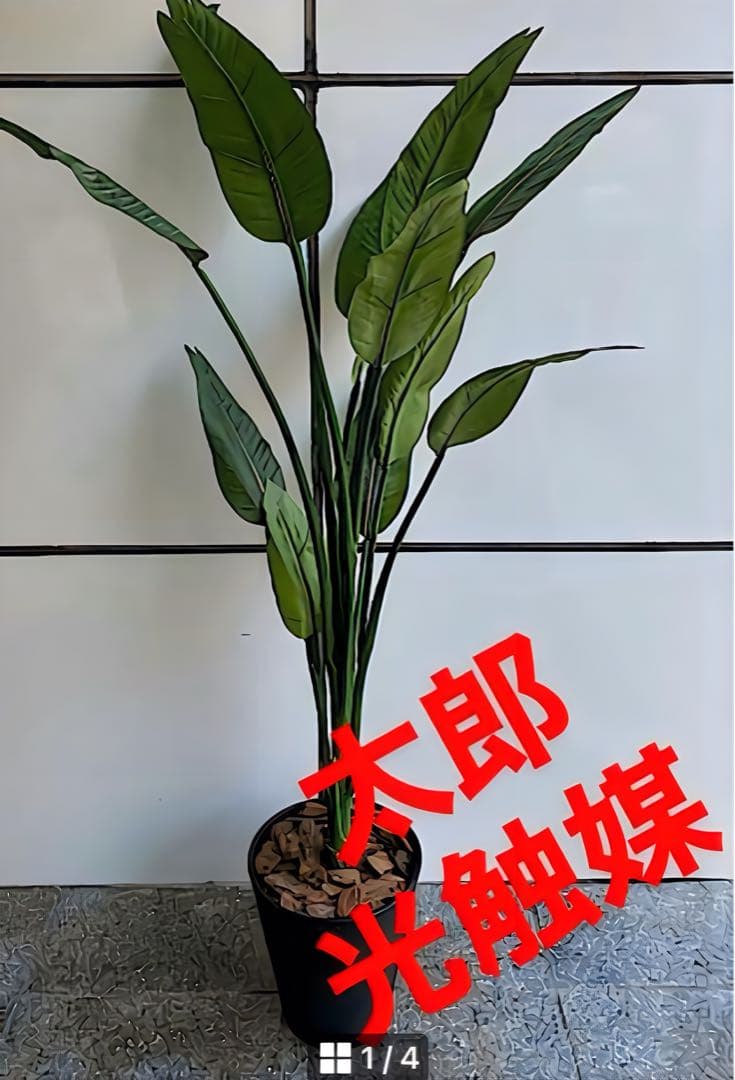 光触媒　人工観葉植物　フェイクグリーン　オーガスタ　ストレッチア160@m
