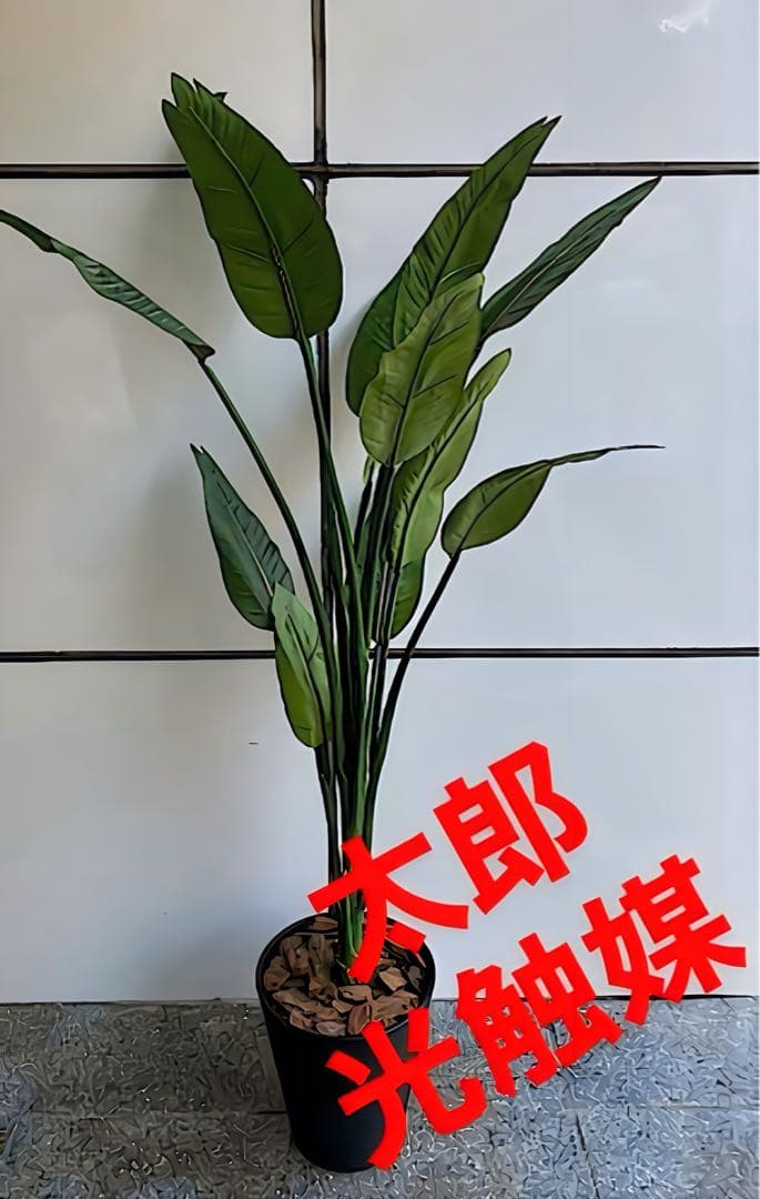 光触媒　人工観葉植物　フェイクグリーン　オーガスタ　ストレッチア160@m