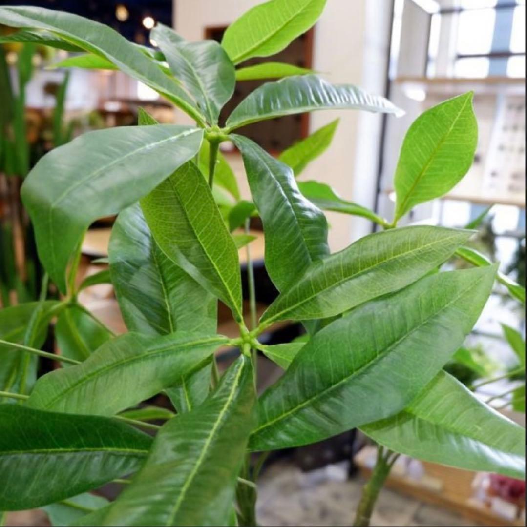 光触媒　人工観葉植物　ウォールグリーン　フェイクグリーン　造花　パキラ180