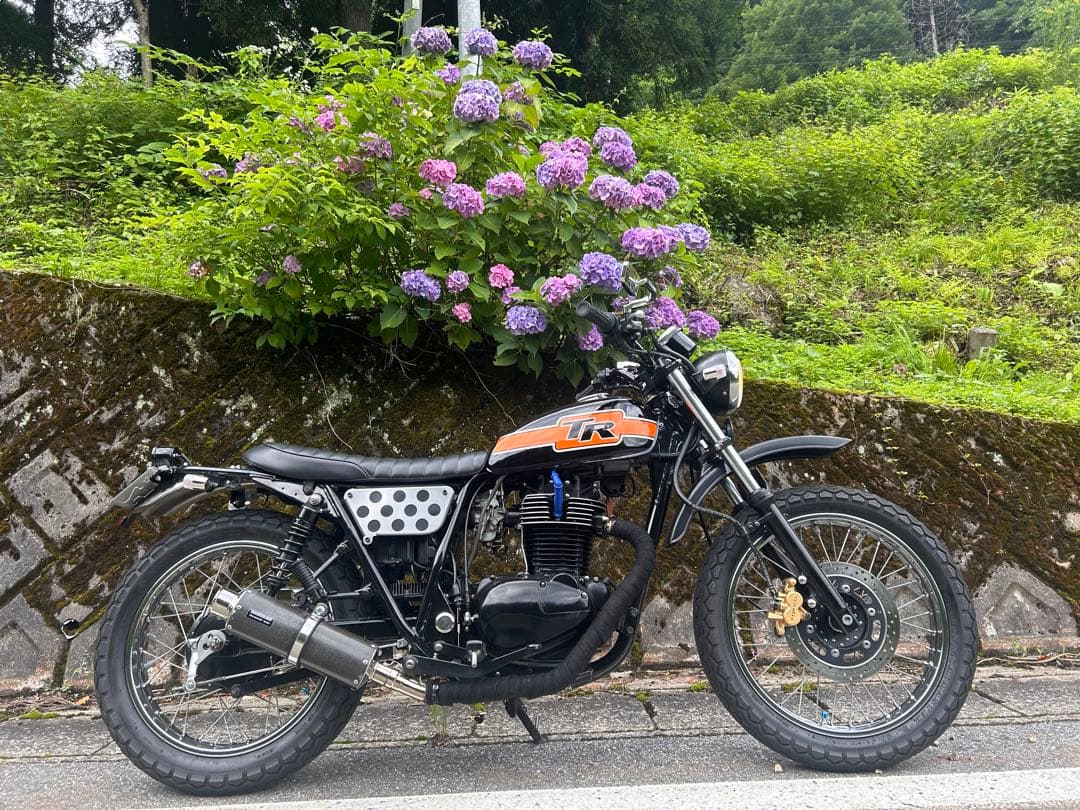 250tr シート　ヘブンズ