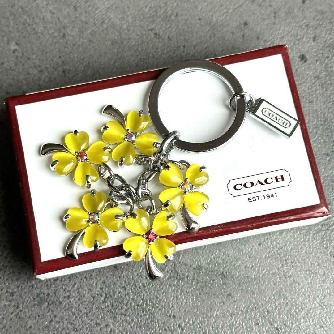 未使用✨COACH Four leaf clover Charm