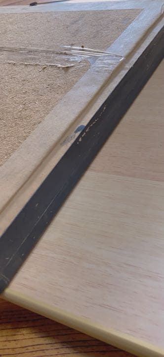 蝶々の剥製(1980年)【絶滅危惧種有り】