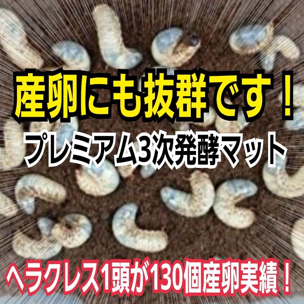 ヘラクレス181ミリ羽化実績！極上！プレミアム3次発酵カブトムシマット　100L