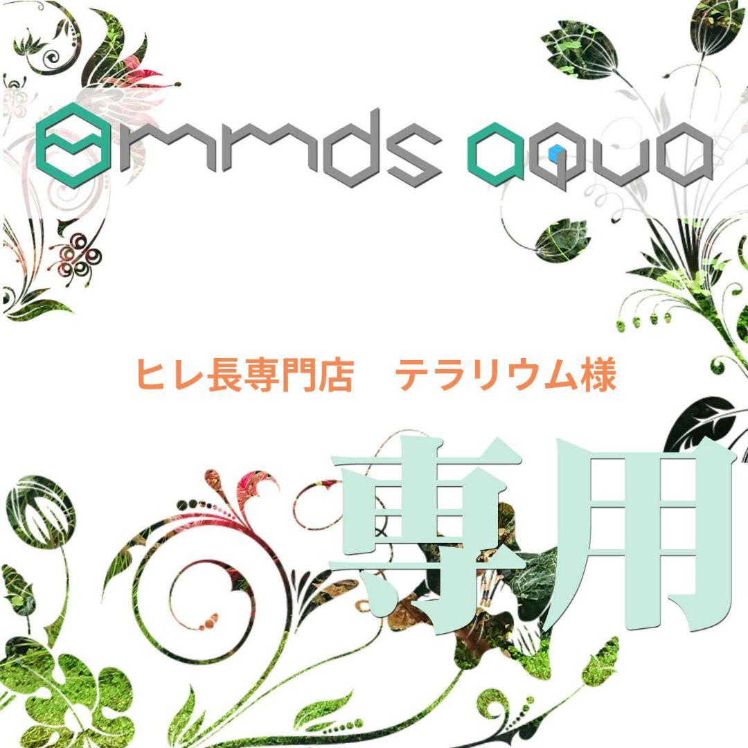 ヒレ長専門店　テラリウム