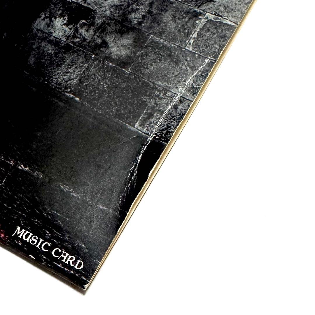 【DVD未開封】BABYL 日本武道館限定スペシャルセット!!