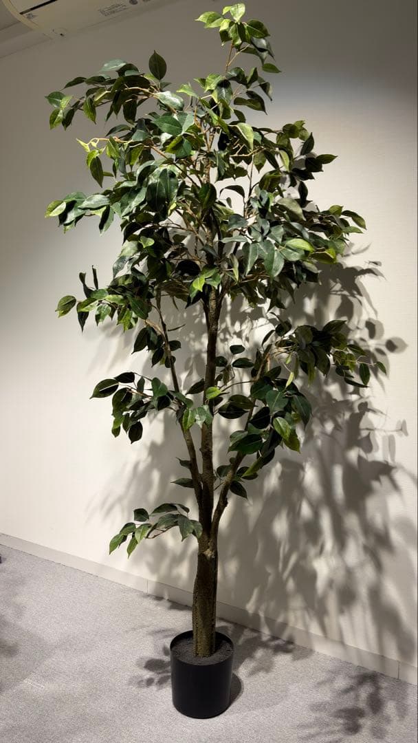フェイクグリーン　ベンジャミン(フィスカ) 165cm 観葉植物　造花