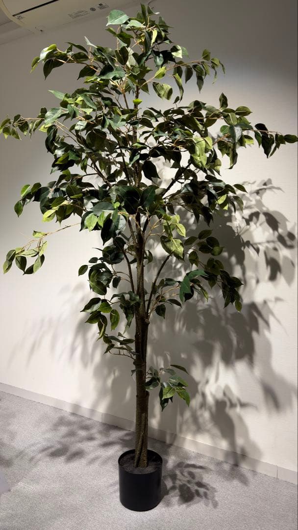 フェイクグリーン　ベンジャミン(フィスカ) 165cm 観葉植物　造花