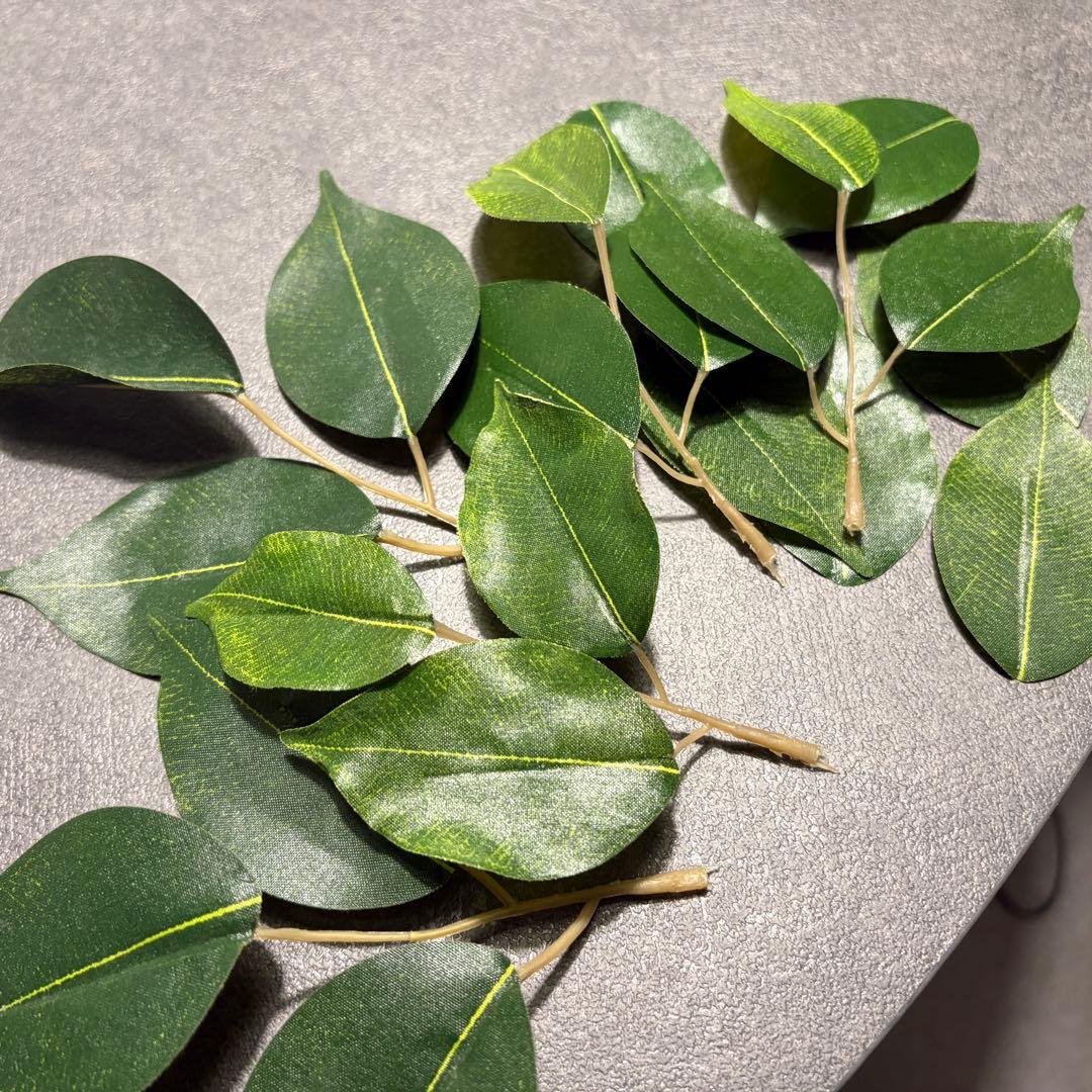 フェイクグリーン　ベンジャミン(フィスカ) 165cm 観葉植物　造花