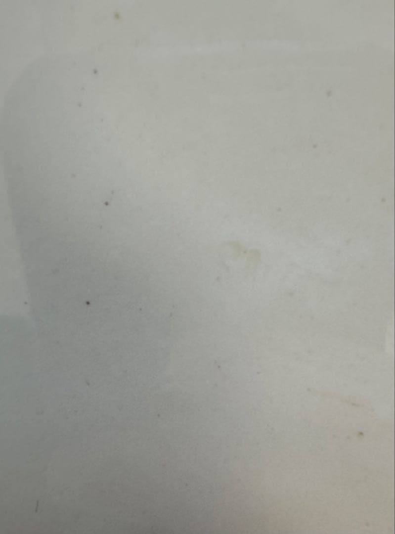 SALINS サラン窯　フランス　アンティーク　プレート　平皿