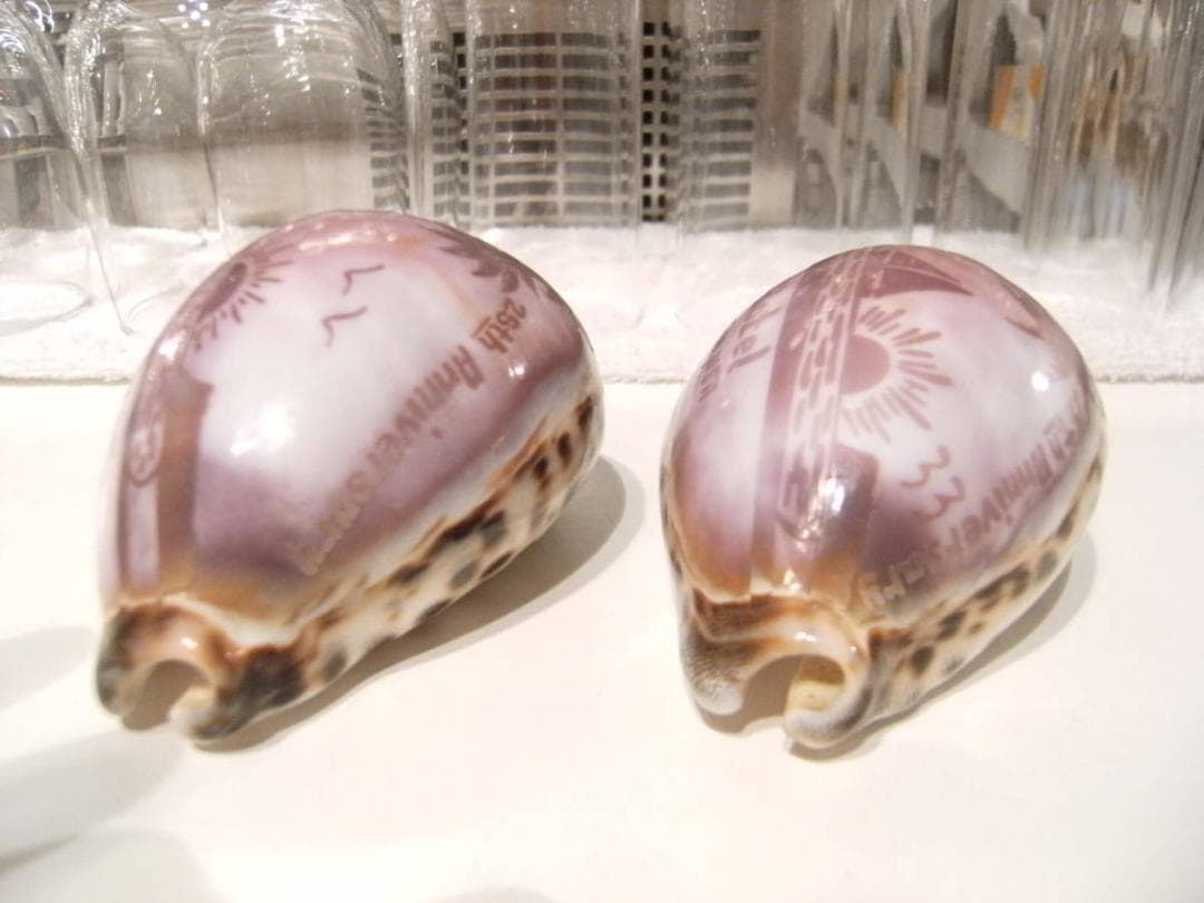 昭和レトロ★80年★海外旅行 アメリカ グアム フジタホテル 25周年記念 貝殻