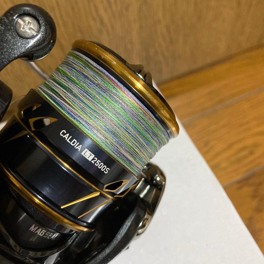 リール DAIWA 21CALDIA LT2500S