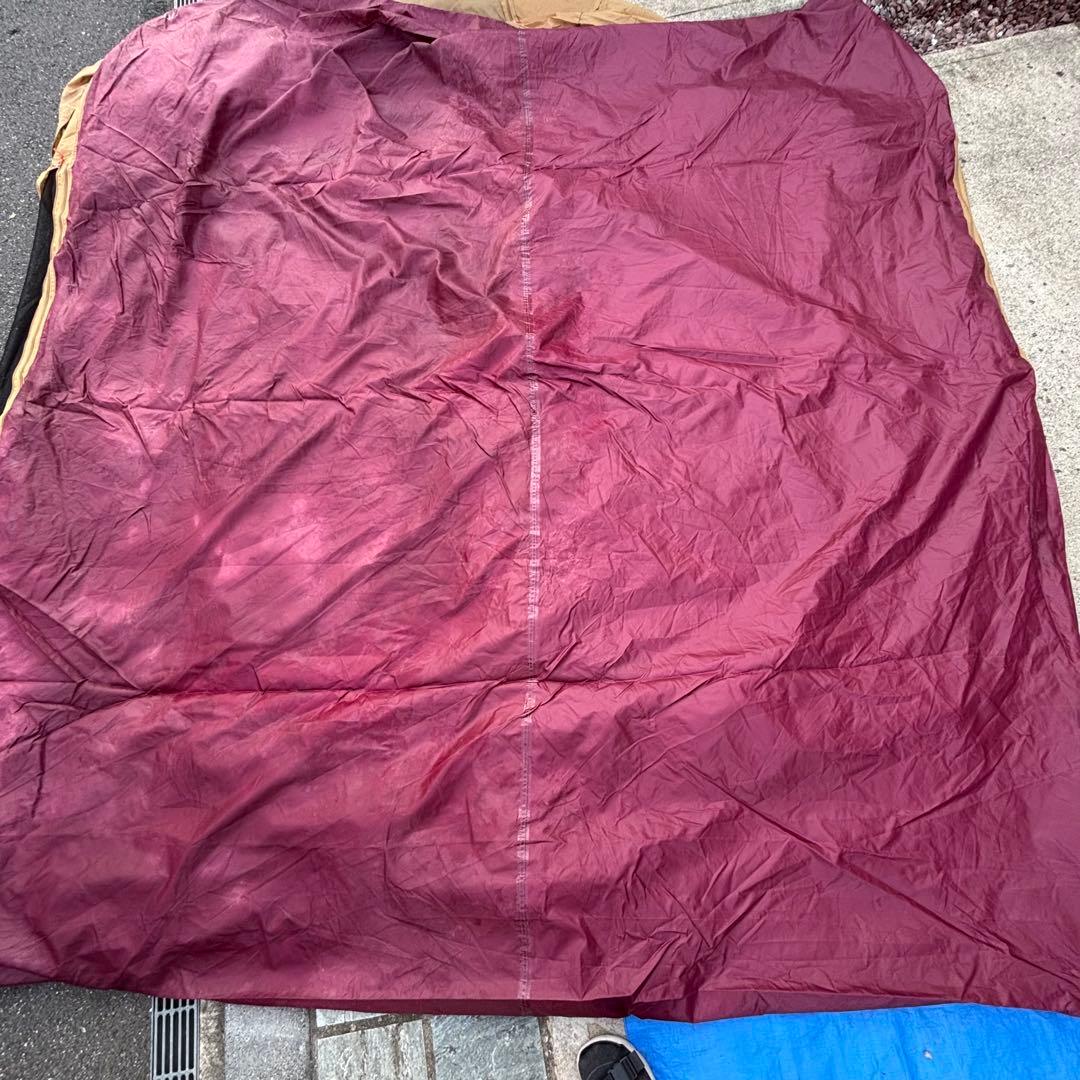 コールマン　トンネル2ルームハウス/LDX　バーガンディ