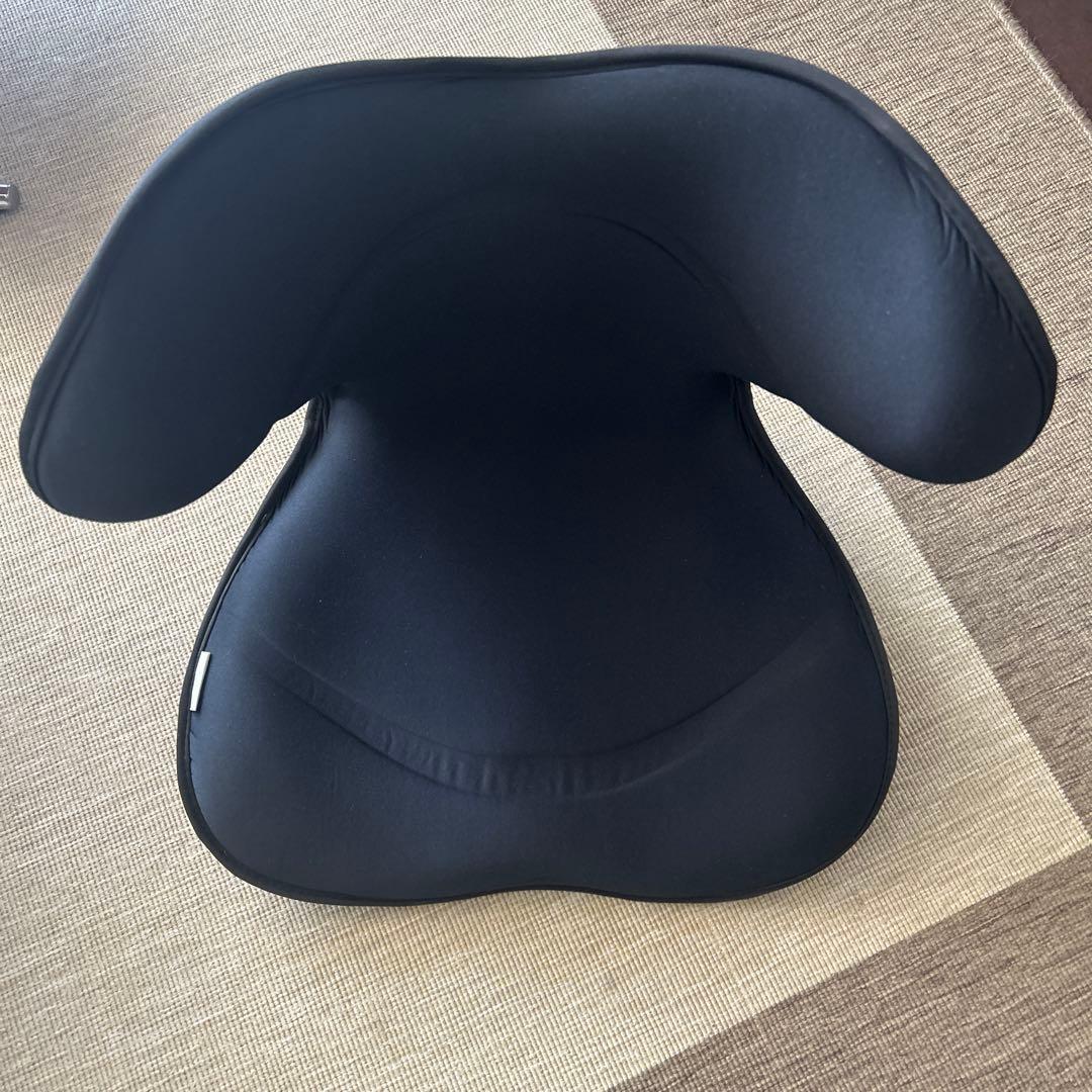 スタイル スマート シリーズ/Style SMART series (ブラック)