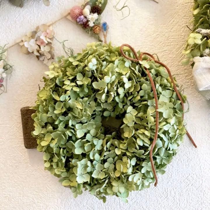 アナベル紫陽花リース