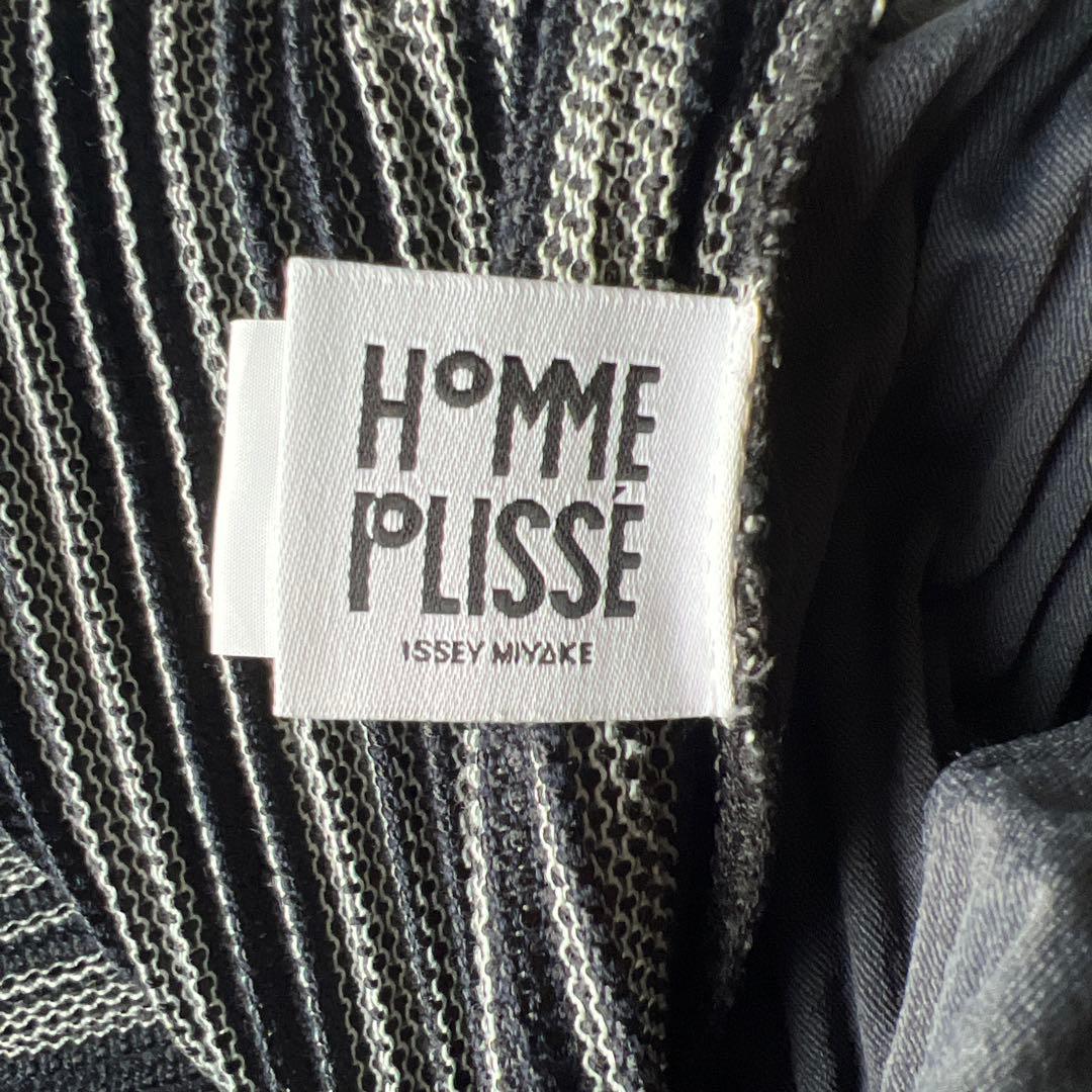 パンツ ISSEY MIYAKE 22ss LENO STRIPE PANTS