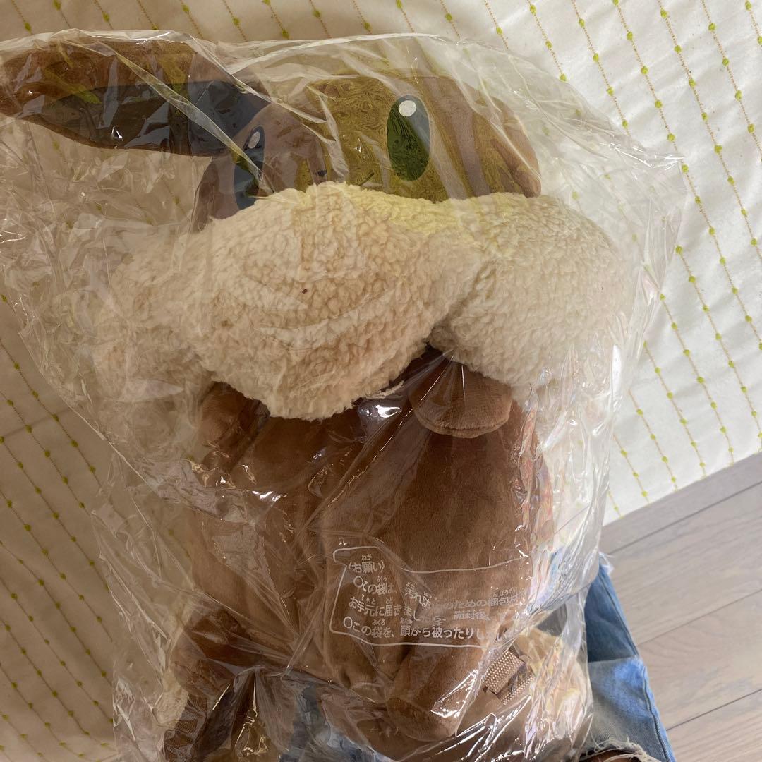 ボタンのイーブイリュック　ポケモン　ポケモンセンター