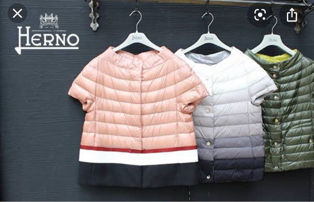 美品⭐︎HERNO リバーシブル半袖ダウン　グラデーションカラー　42