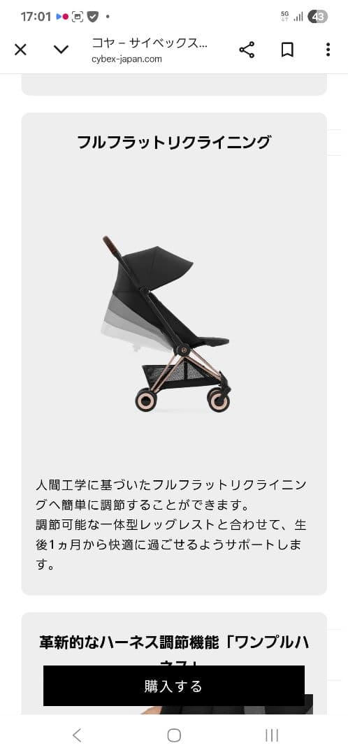 【美品】サイベックス　コヤ　ローズゴールド　クリップ一式プレゼント！