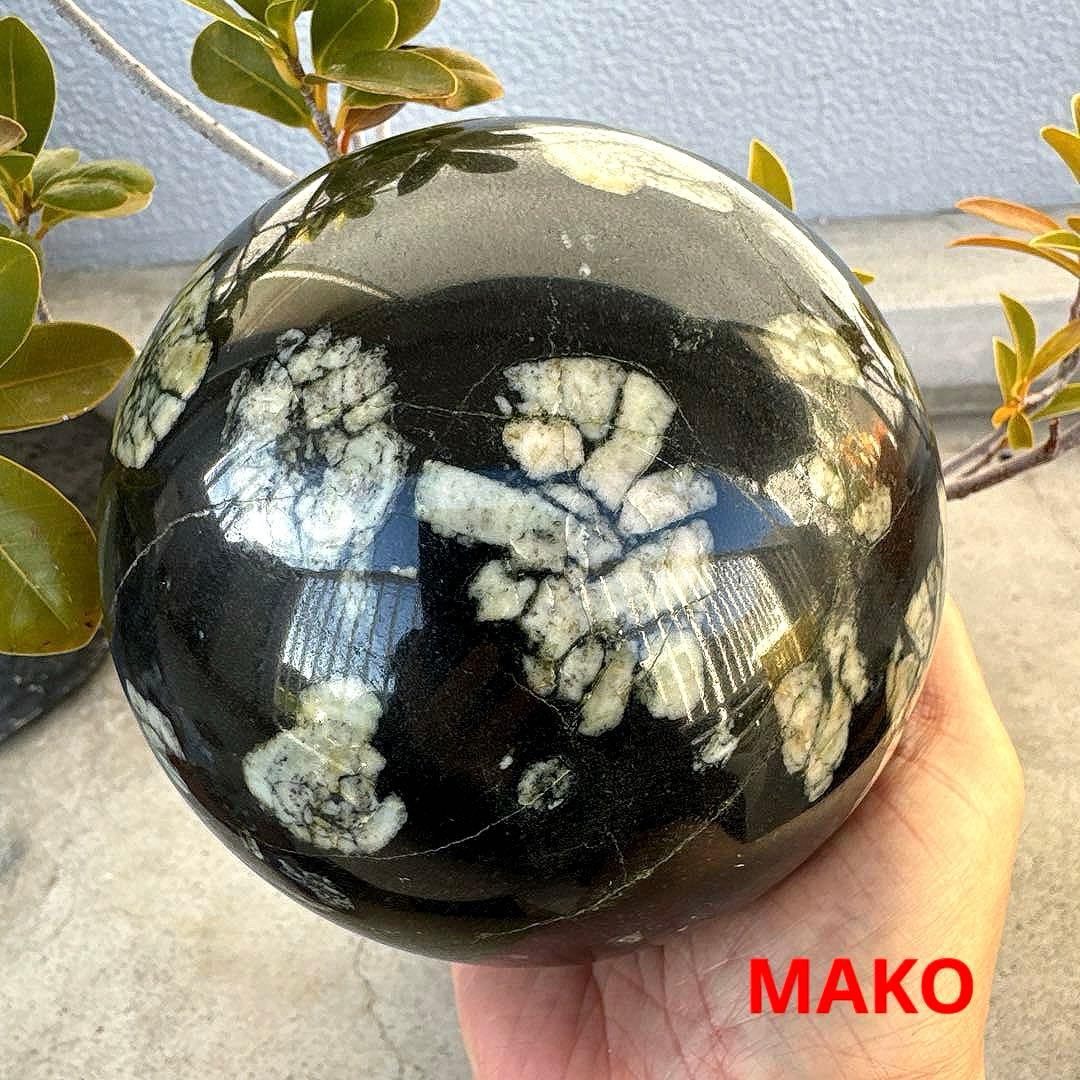 M1583☆菊花石丸玉125mm 3.2Kg☆天然石　原石