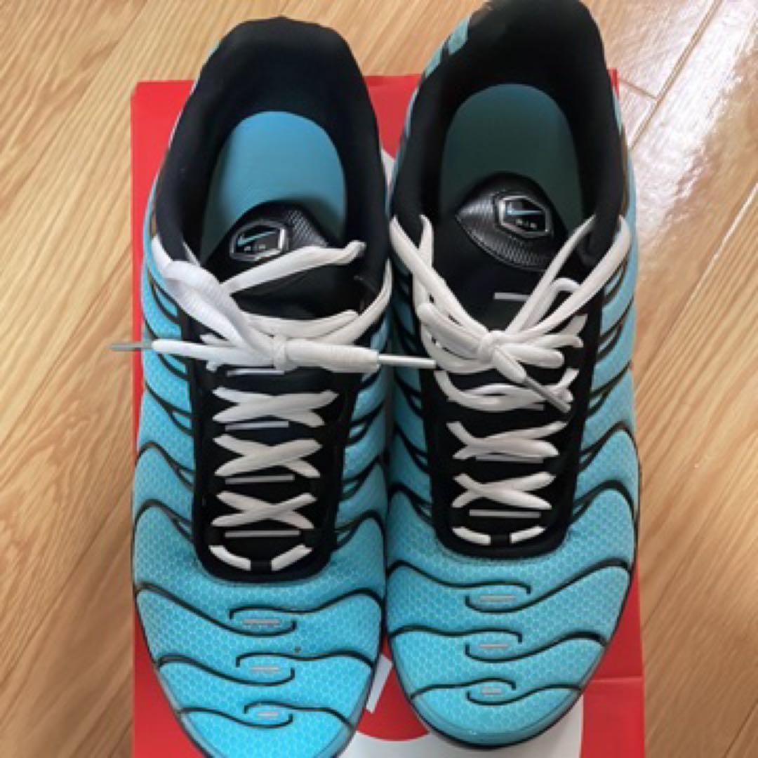 ぺっぺ Nike Air Max Plus 青/黒