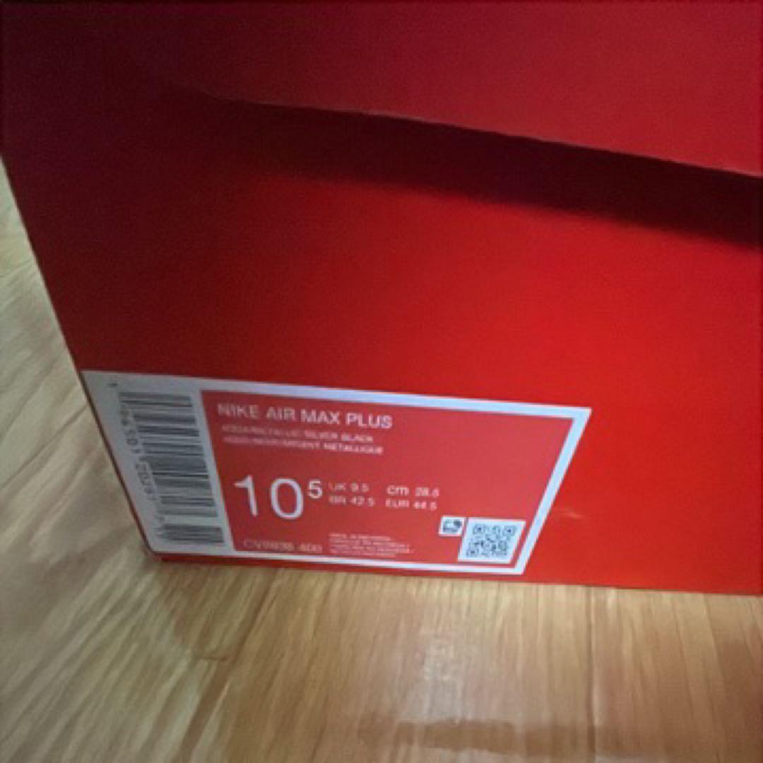 ぺっぺ Nike Air Max Plus 青/黒