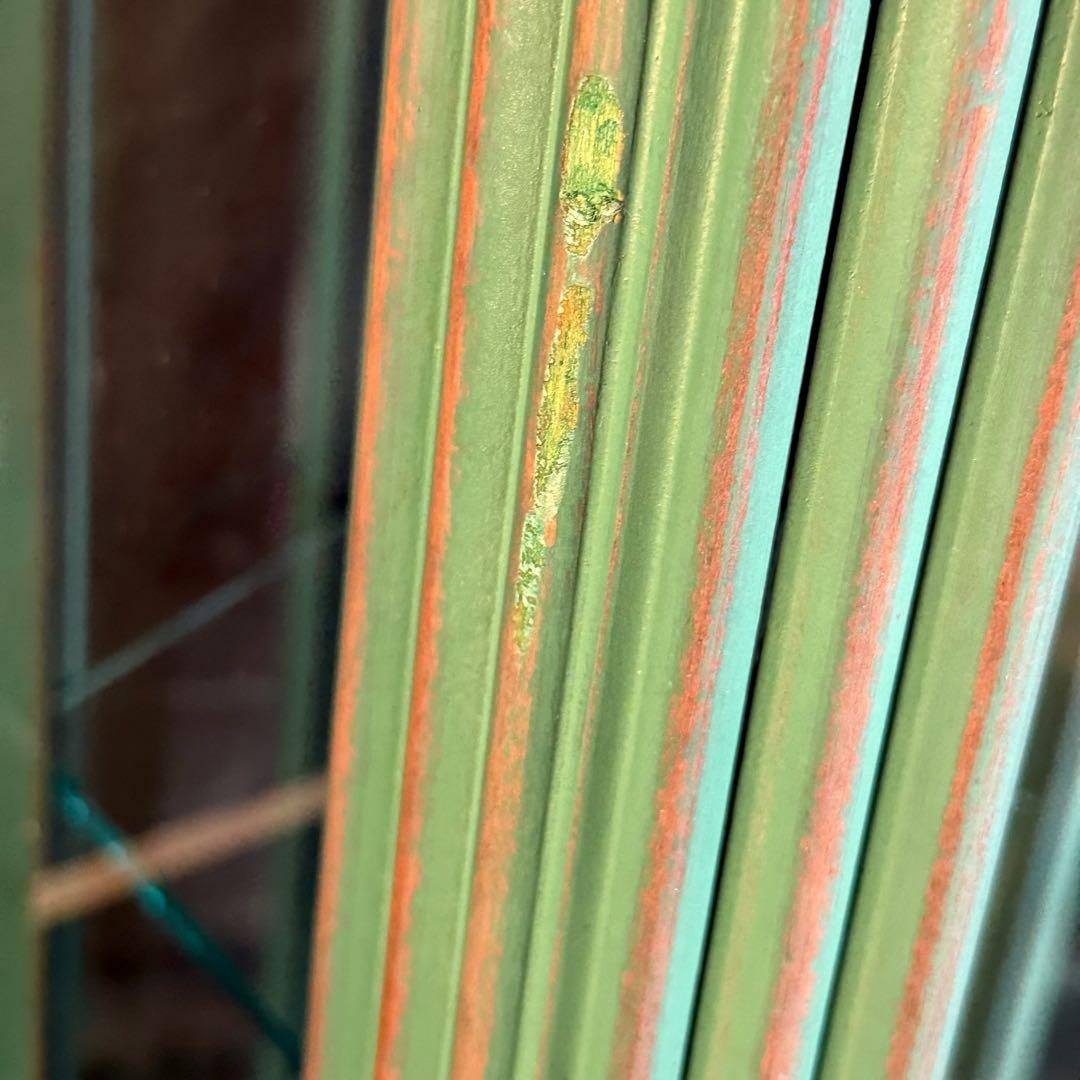 HR723 希少　バロッサバレンティ　hexagon 全面ガラスキュリオケース