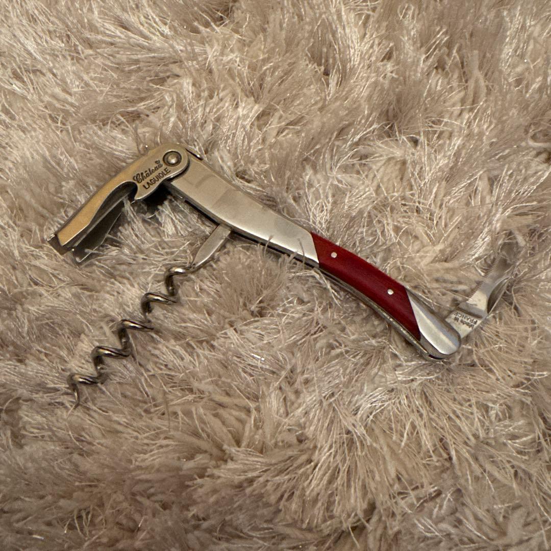 シャトーラギオール　ジェラールバッセモデル