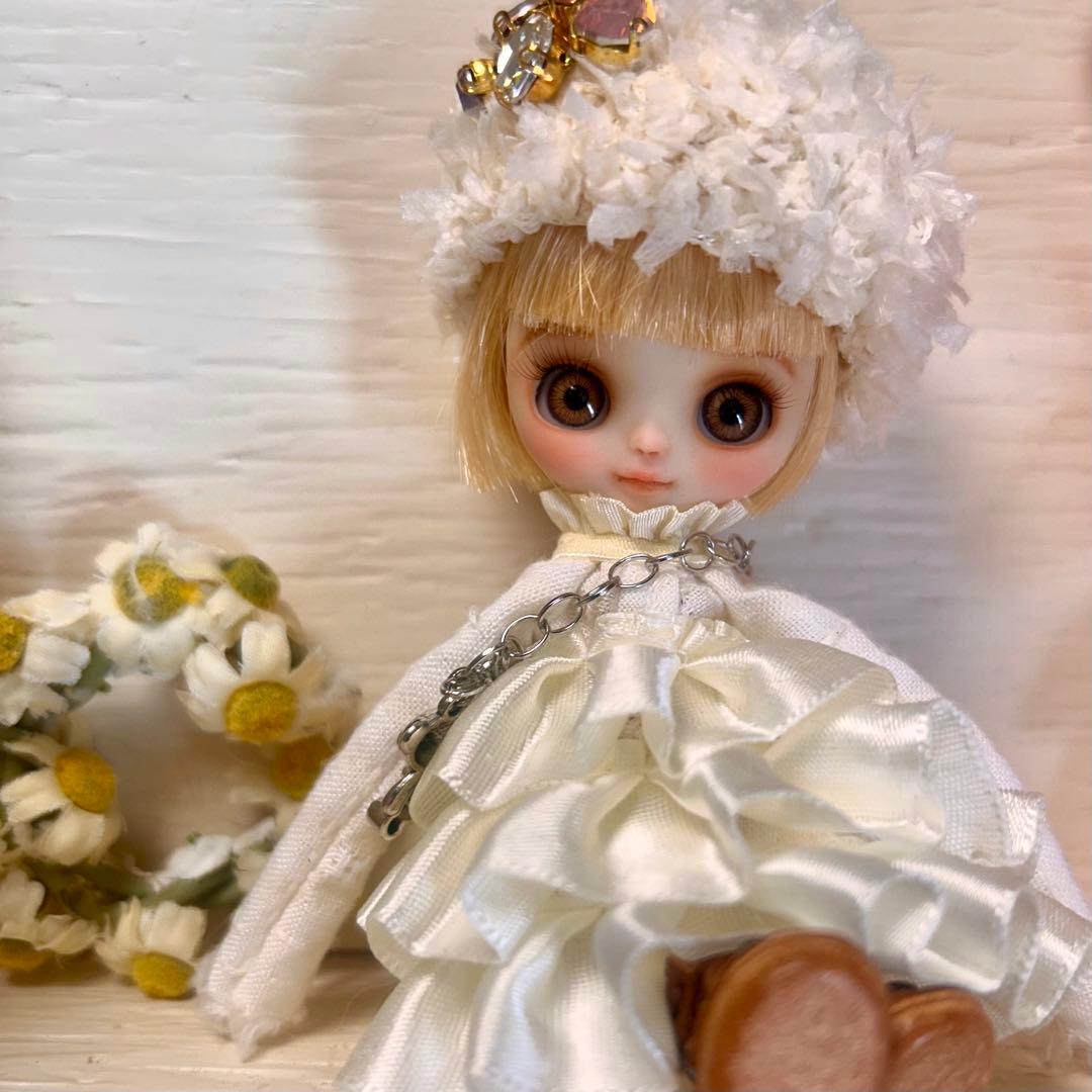 カスタム　プチアイシードール　※プチブライス　サイズ