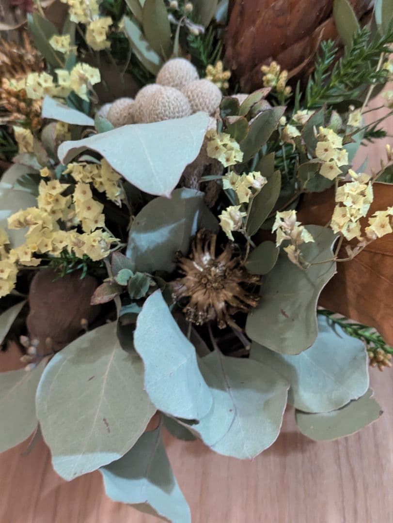 特価！ドライフラワー★プロテア、ココニシア壁掛けアレンジメント★インテリア