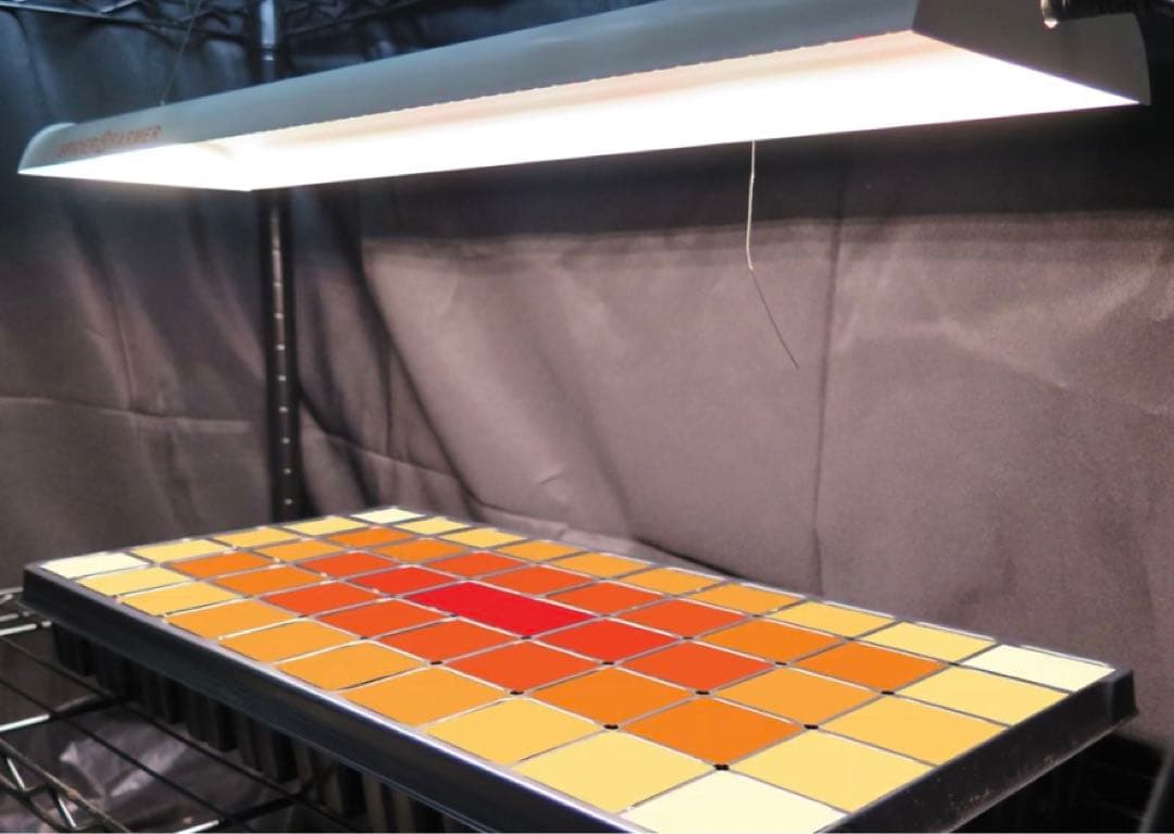 spiderfarmer SF-600【正規代理店3年補償付き】