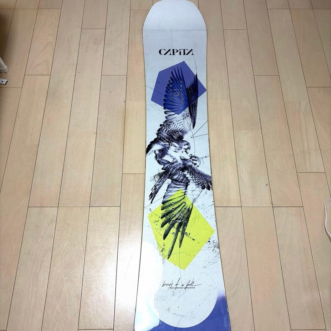 CAPITA キャピタ バードオブアフェザー　144