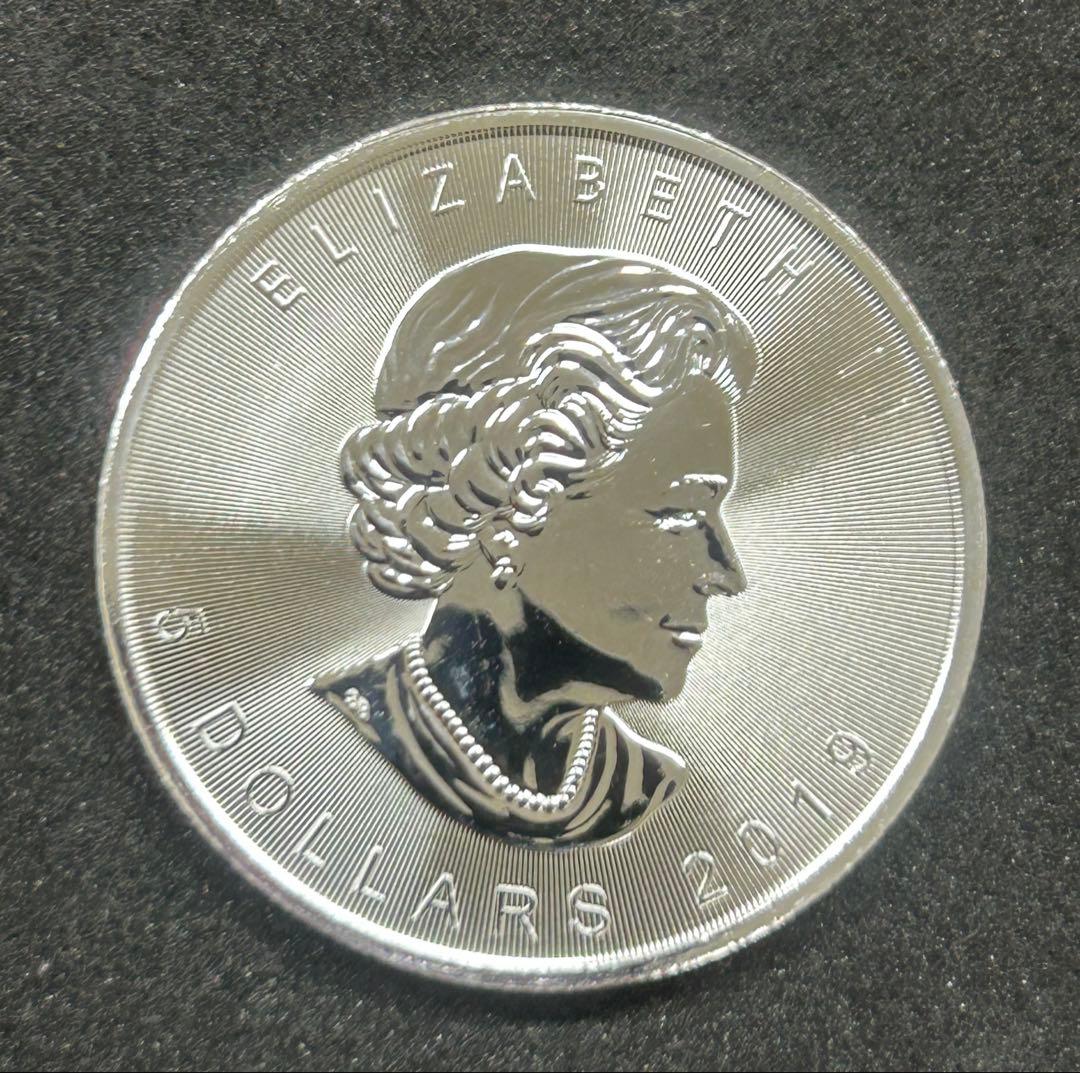 カナダ メープルリーフ 1オンス銀貨 2019年　ランダム