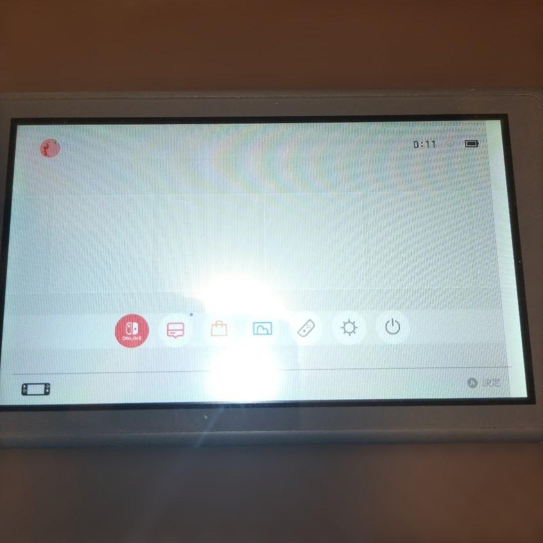 Nintendo Switch Lite グレー アダプター付き　液晶画面要確認