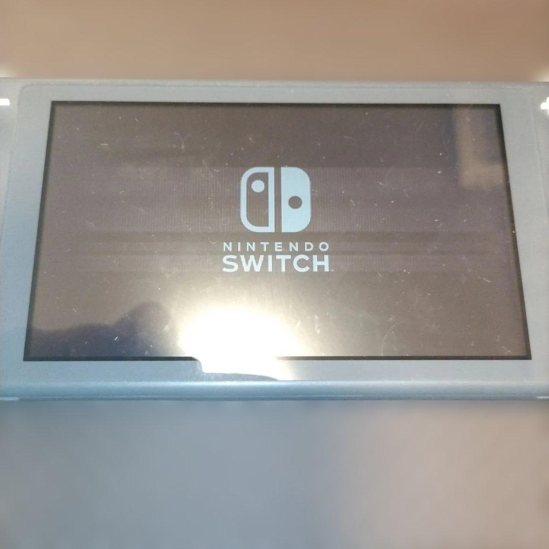 Nintendo Switch Lite グレー アダプター付き　液晶画面要確認