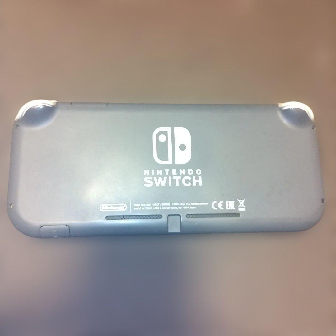 Nintendo Switch Lite グレー アダプター付き　液晶画面要確認