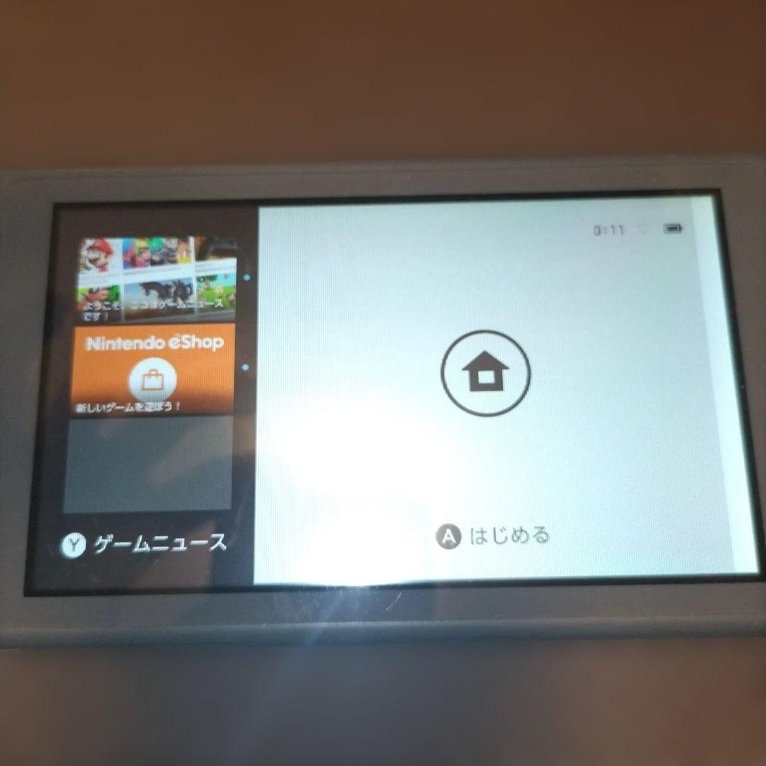 Nintendo Switch Lite グレー アダプター付き　液晶画面要確認