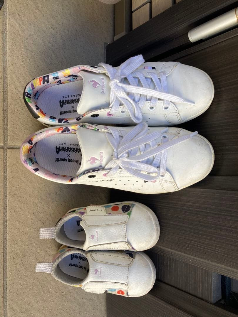 ルコックスポルティフ 24cm