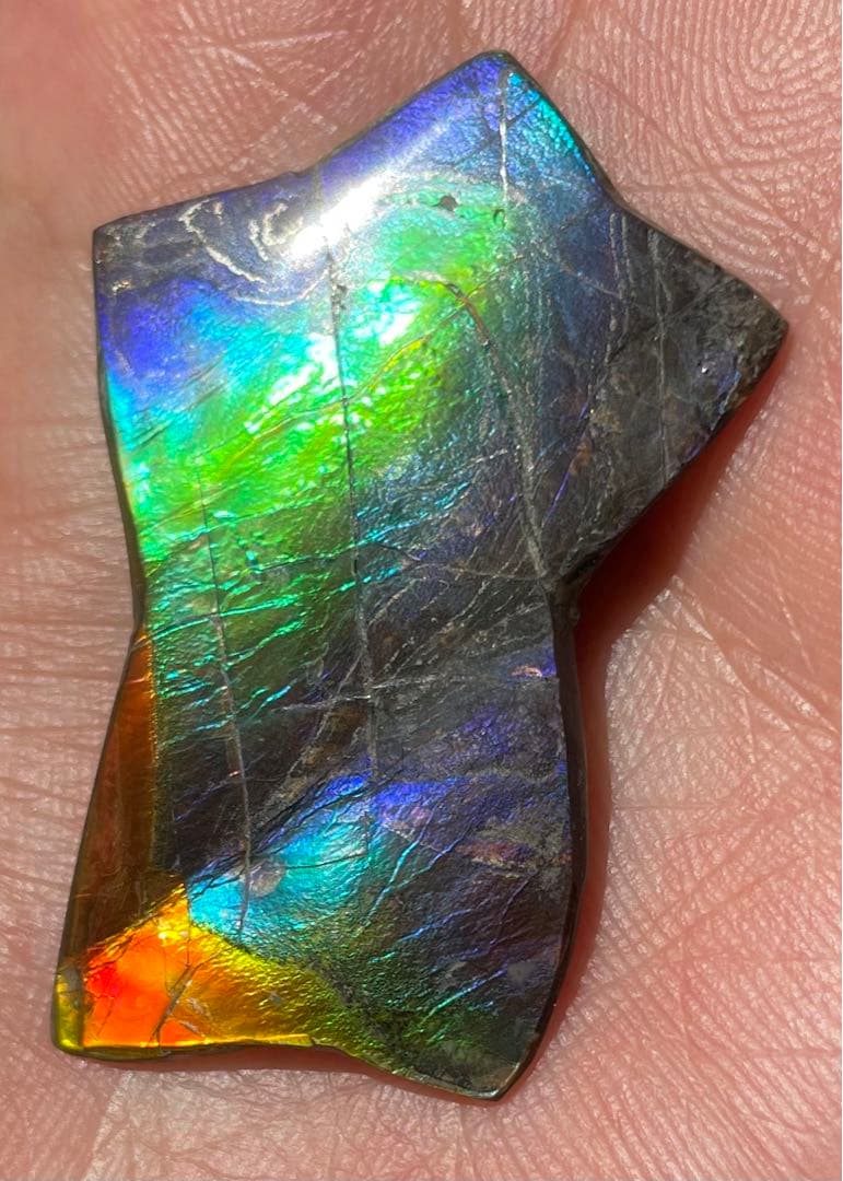 【期間限定セール】虹色星形　アンモライト　インペリアルレインボー　アンモライト