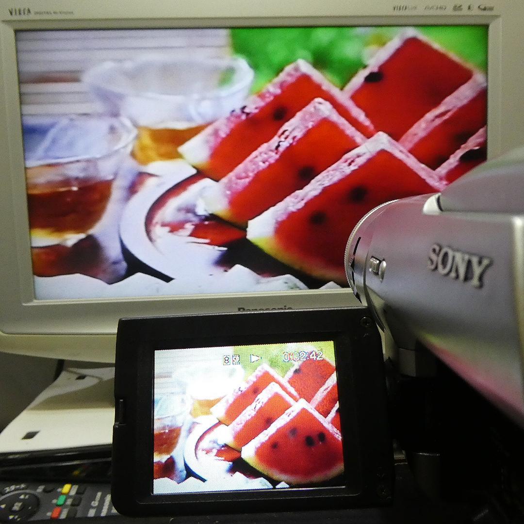 動作良好ソニー DCR-TRV735　デジタルビデオカメラ VideoHi8/8