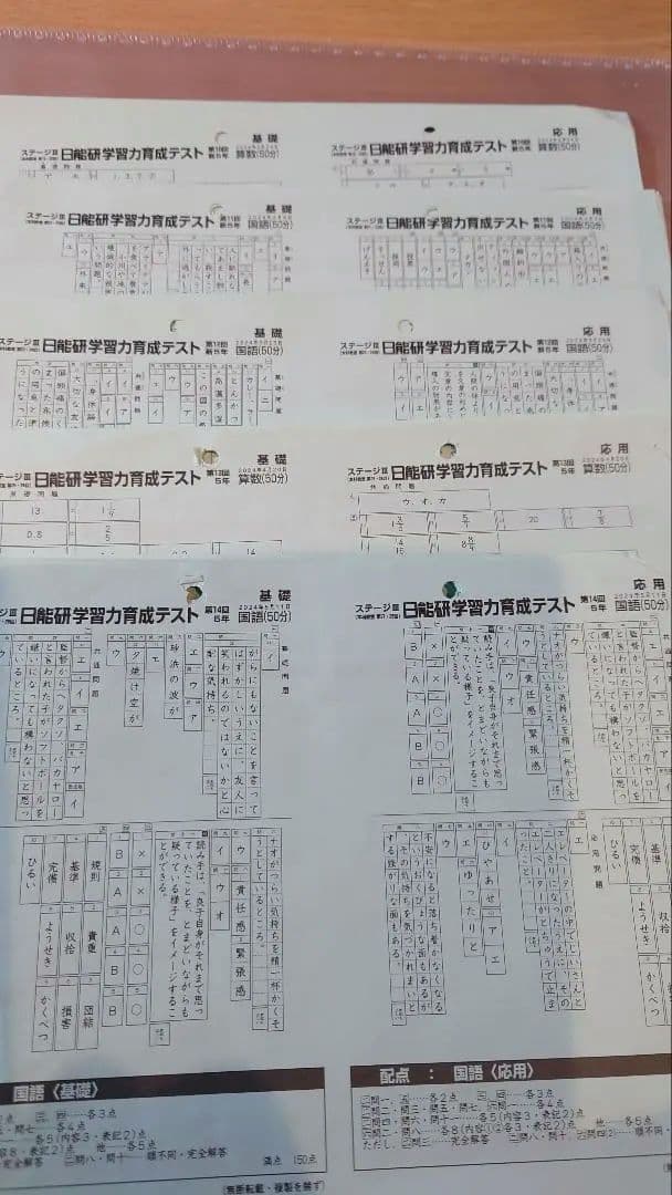 2024年5年前期育成テストフルセット 4科 日能研