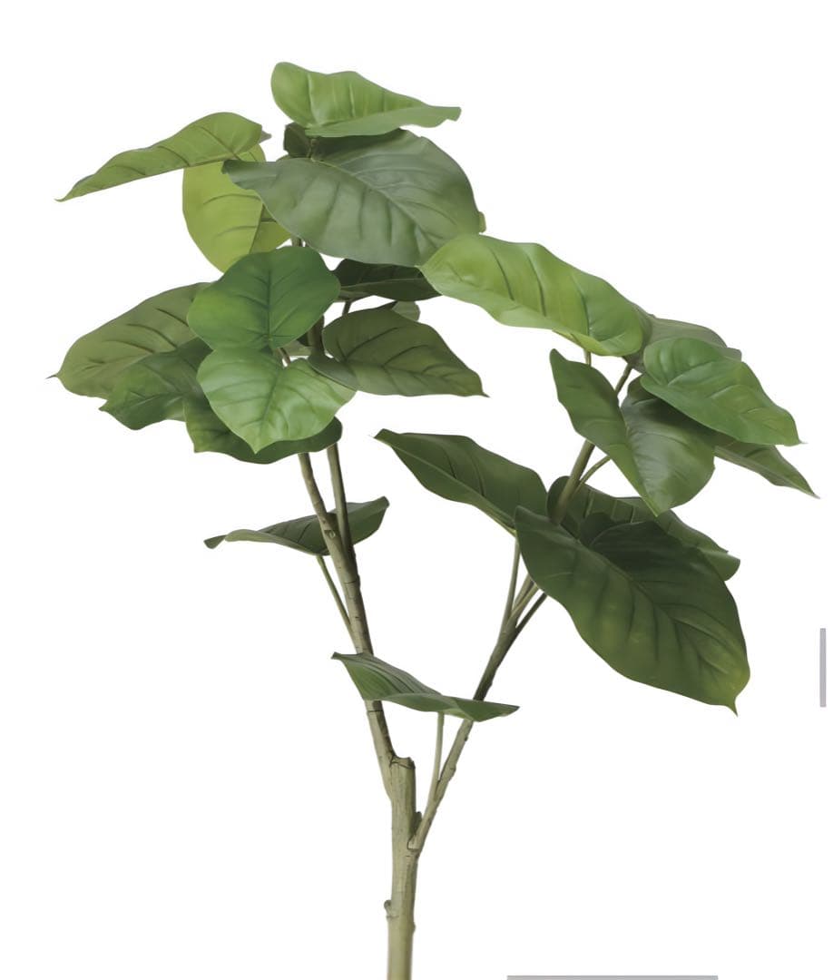 光触媒　人工観葉植物　ウォールグリーン　フレッシュウンベラータ1.35m