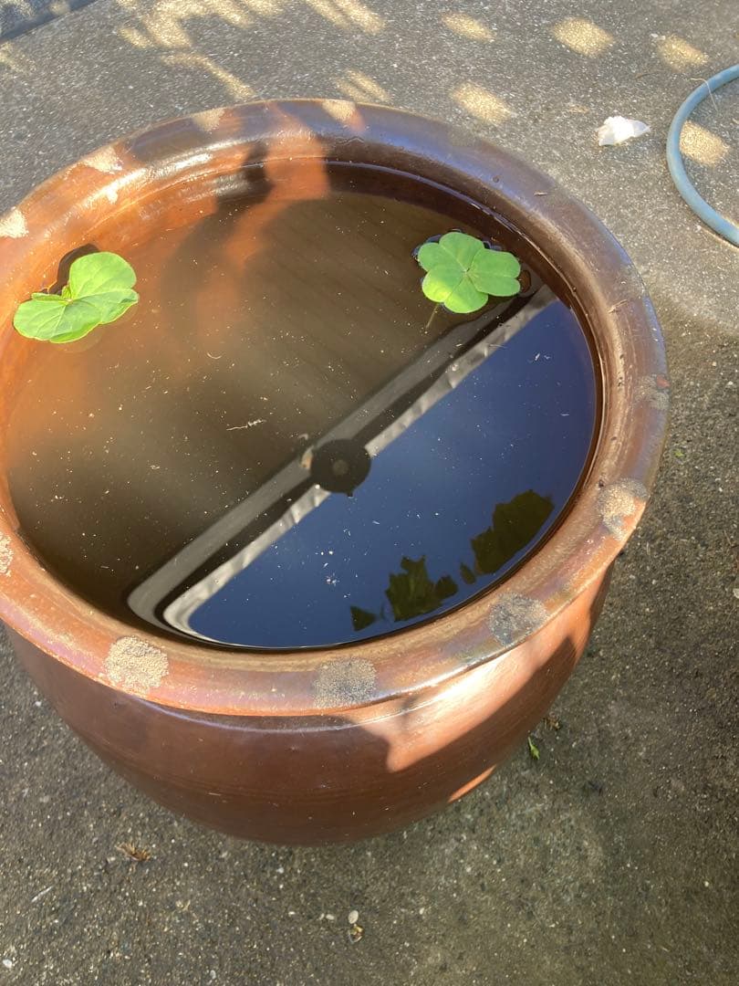 存在感抜群！時代物 陶器の大型甕 古い壺 。茶褐色。和モダン 55センチ